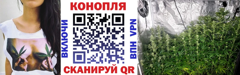 Продажа наркотиков Приволжск мега зеркало  ГАШИШ  Каннабис  A-PVP 